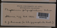 Image Associated With the Occurence